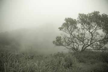 Obraz na płótnie Canvas The mist at the mountain in morning