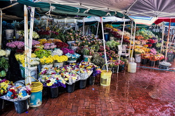 Kapstadt, Trafalgar Place