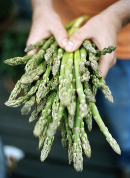 Asparagus, close-up.