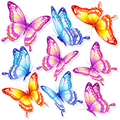butterflies design