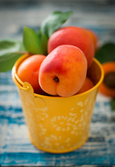 Fresh apricots in  bucket