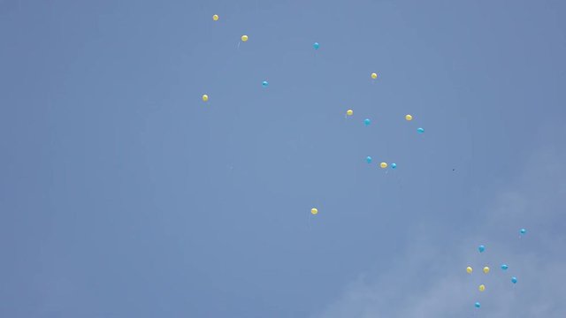 Gel balls in bkue sky