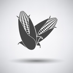 Corn icon on gray background with round shadow. Vector illustration.