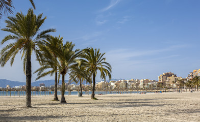 Fototapeta premium Beautiful view of Platja de Palma de Mallorca