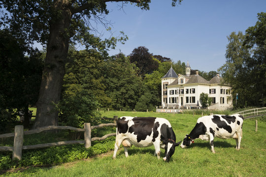 Manor de Haere