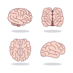 Brain design. Mind concept. White background , editable vector