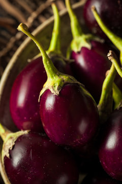 Organic Raw Baby Indian Eggplants