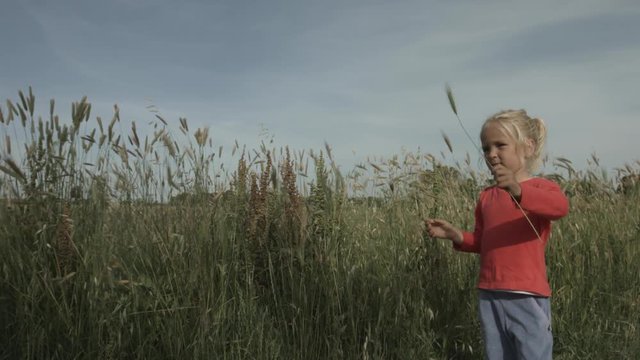 Piccola bambina bionda gioca in un campo di erba e grano