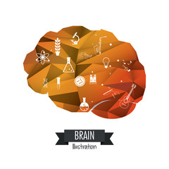 Brain design. Mind concept. White background , editable vector