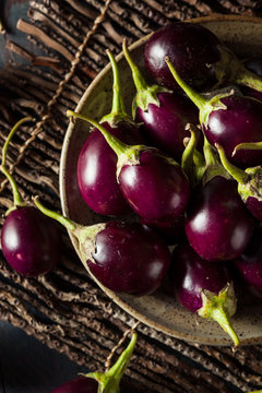 Organic Raw Baby Indian Eggplants