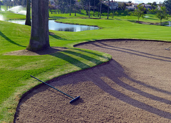 Sandtrap and Mancured green grass of golf course - 111820214