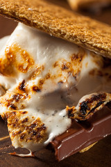 Homemade Gooey Marshmallow S'mores