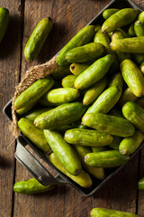 Raw Green Organic Tindora