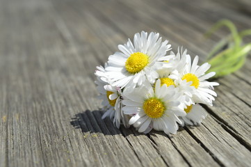 Fototapeta na wymiar white daisy bouquet on wooden bench