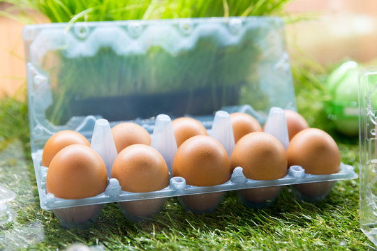 Eggs in plastic container