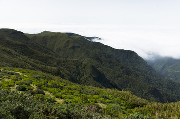 Fototapeta premium Alpine landscape in Madeira Island, Portugal, Europe