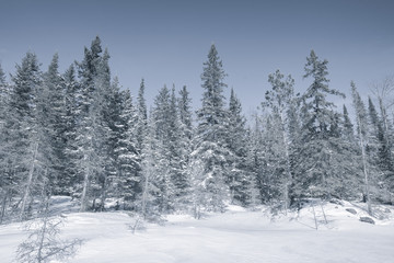winter landscape in ontario canada