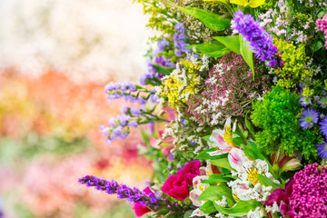 Colorful flowers