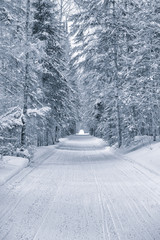 snowmobile trail in winter