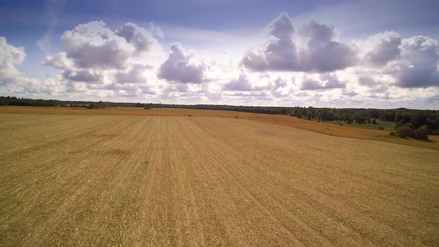 The huge rice field in Saaremaa Estonia. It has rice grains and a big agricultural land in the town