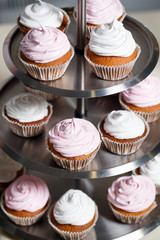 cupcakes on a stand.