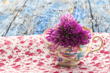 Red clovers in tea concept