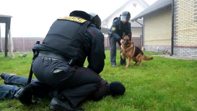Police arrested the offender