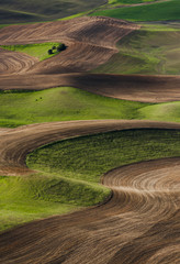 Plowing Abstracts. The view from Steptoe Butte State Park yields endless opportunities for taking...