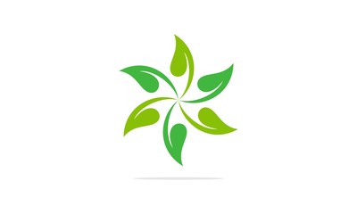 Obraz premium green leaf logo