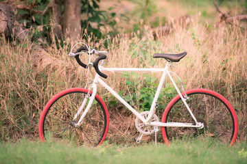 Fototapeta na wymiar Sport Vintage Bicycle with Summer grass field