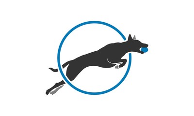 K9 Dog Training Sports Logo