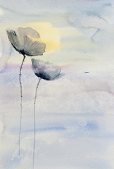 Dark poppy flowers with sun set background