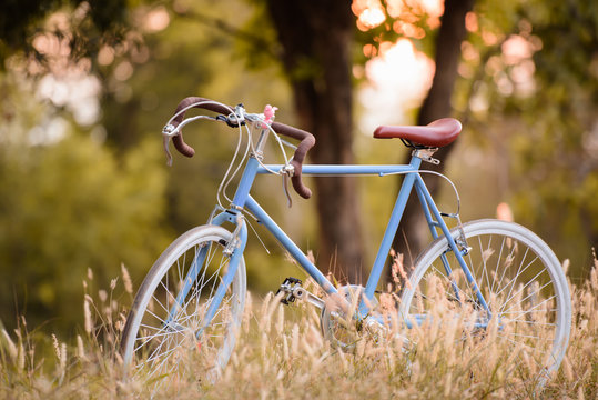 beautiful image with sport vintage Bicycle at sunset