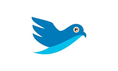 Blue Bird Fly Logo