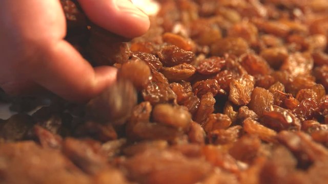 Brown raisins. Slow motion. 2 Shots. Horizontal pan. Close-up.
