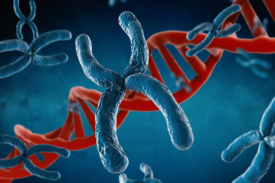 blue chromosome and red dna structure on blue background