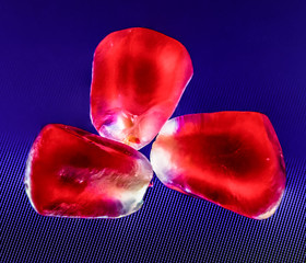 Three ruby pomegranate grains on computer pixels in polarized light