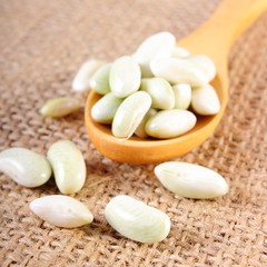 Fototapeta na wymiar Seeds of beans with wooden spoon on jute canvas, healthy food