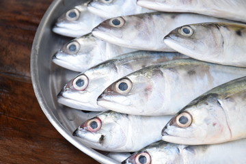 Fototapeta premium Fresh mackerel fish 