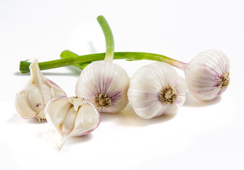 garlic
