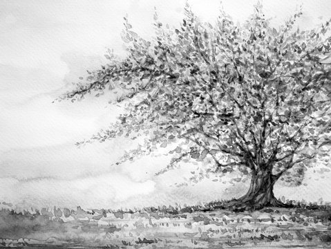 big tree in grass field and sky, watercolor painting on paper