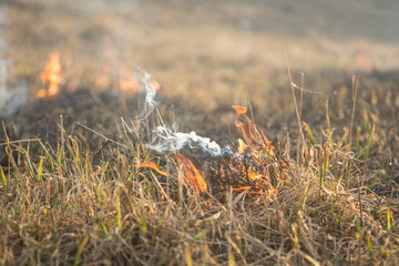 burns dry grass fire