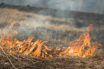 burns dry grass fire