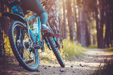 cyclist riding mountain bike in the forest