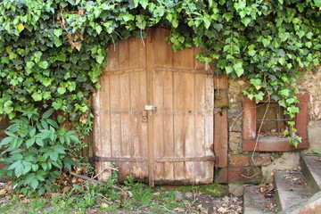 altes Holztor