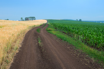 Fototapeta na wymiar road between two fields