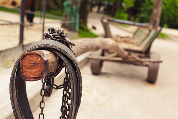 cart with horse carriage