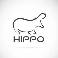 Vector image of an hippo design on white background.