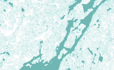 abstract topographic map, vector background