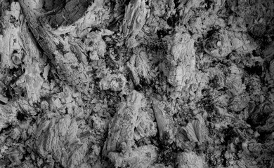 Ashes and embers after picnic bonfire texture background